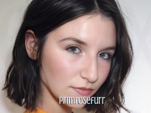 Primrosefurr