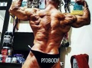 Probody