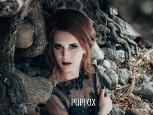 pupfox Edonkey xxx