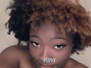 Puppy