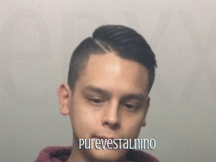 Purevestalnino