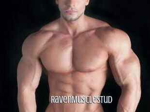 RavenMuscleStud
