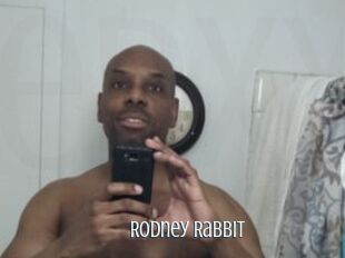 Rodney_Rabbit