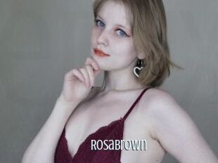 RosaBrown