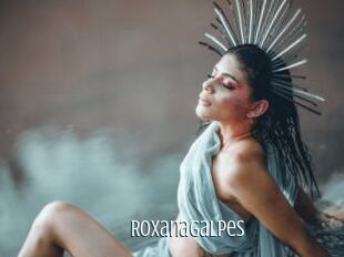 RoxanaGalpes