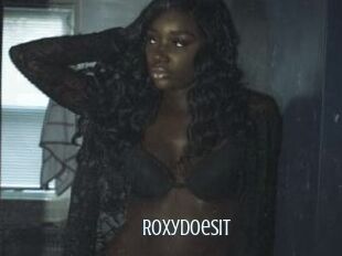 RoxyDoesIt