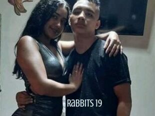 Rabbits_19