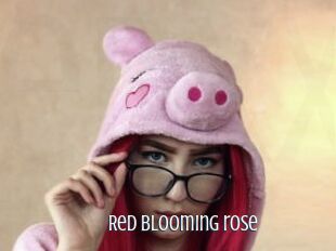 Red_blooming_rose