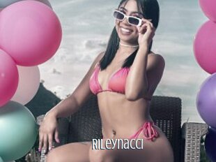 Rileynacci