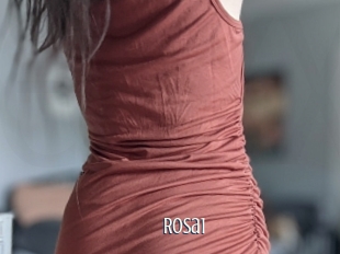 Rosa1