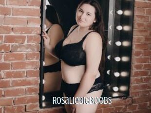 Rosaliebigboobs