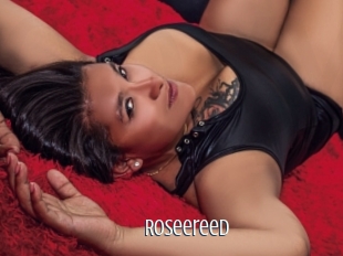 Roseereed