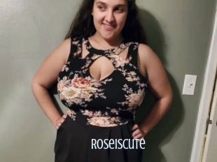 Roseiscute
