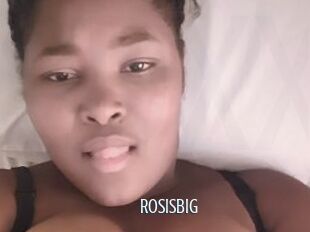 Rosisbig