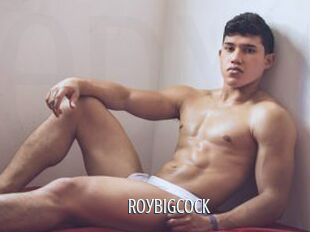 Roybigcock