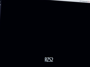 Rzs2