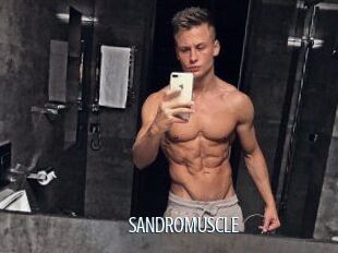 SANDRO_MUSCLE