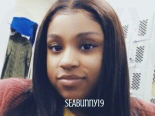 SEABunny19