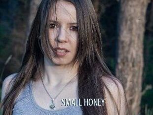 SMALL_HONEY