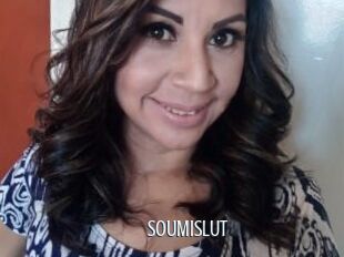 SOUMISLUT
