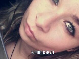 Sambucacat