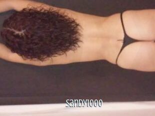 Sandy1000