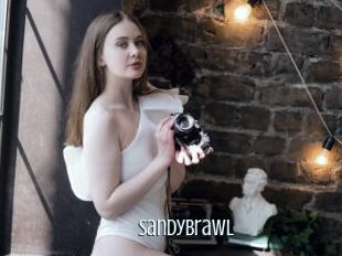 SandyBrawl