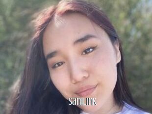 SaniLink