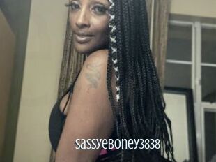 Sassyeboney3838