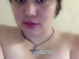 Sebi_Barnes