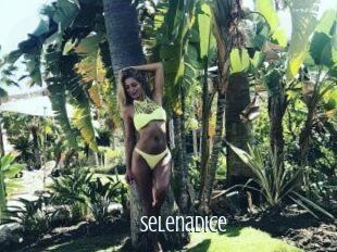 SelenaDice