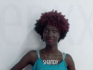 Shandy