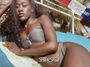 Shinesiga