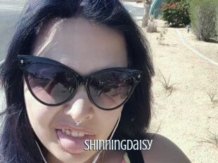 Shinningdaisy