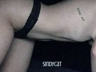 SindyCat