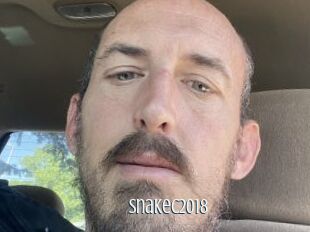 Snakec2018