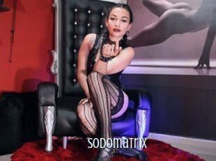 Sodomatrix