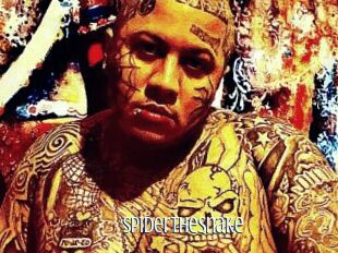 SpiderTheSnake
