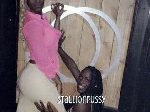 StallionPussy