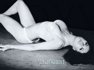 SugarRabbit Edonkey xxx