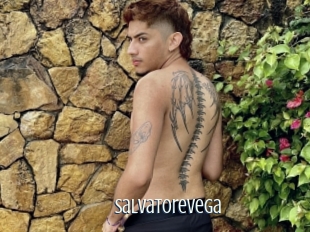 salvatorevega Edonkey xxx