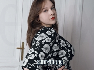 Sandymodel