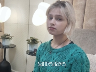 Sandyshayes