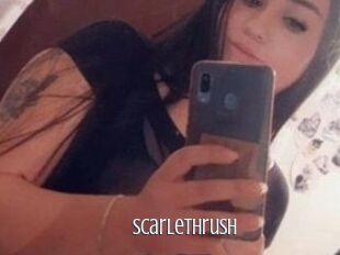 Scarlethrush