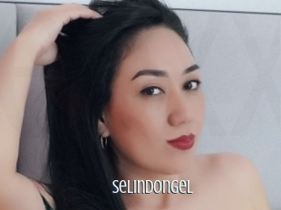 Selindongel