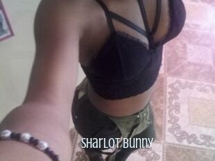 Sharlot_bunny