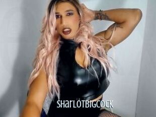 sharlotbigcock Edonkey xxx