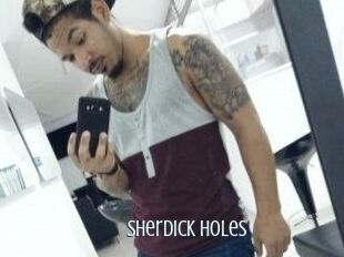 Sherdick_holes
