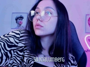 Silicialumberg