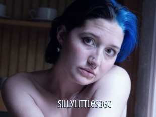 Sillylittlesage